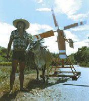 cow pulling windmill
